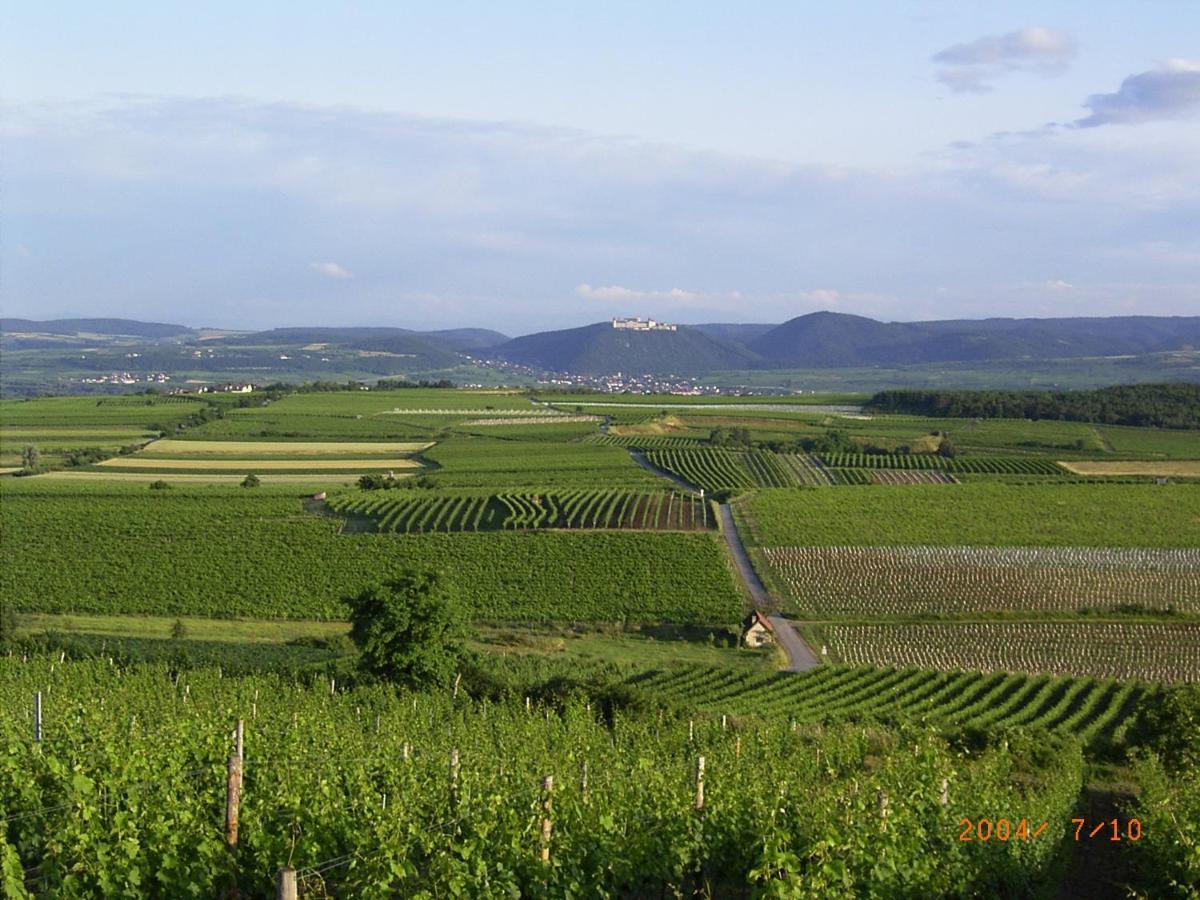 Asbacher Klosterkeller Stratzing 外观 照片